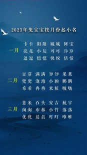 2025兔最旺男孩名字(属兔男孩名字大全2011)