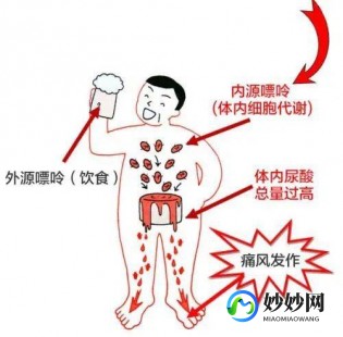 尿酸高是身体哪里出了问题,尿酸高是身体哪里出了问题