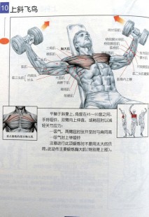 男士健康减肥计划,男人减肥的方法,一文解析