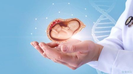 合肥试管助孕服务解析：助你圆梦的科学之路
