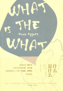 是什么,是什么