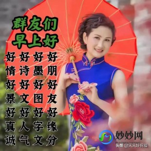 2022年最建议买的手机(2021最建议买的手机)