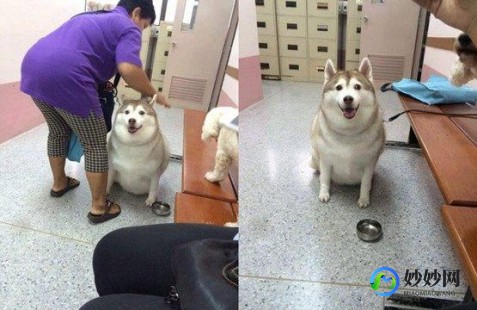 气喘呼呼,气喘呼呼是什么意思