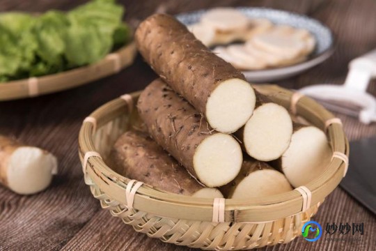 痰多最怕一味药,痰多最怕一味药是什么