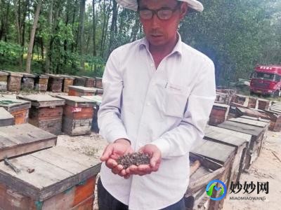 李玉坤,李玉坤详细介绍