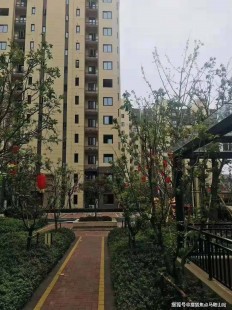 阮小玲,阮小玲详细介绍