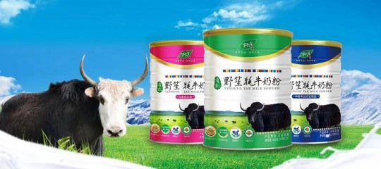 石嘴山牦牛奶粉的营养价值与市场口碑全面解析