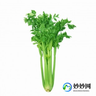 芹菜的功效,芹菜的功效与作用