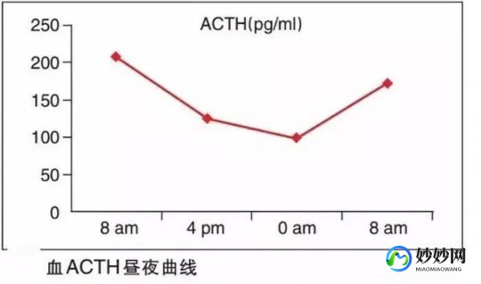 试管助孕成功率揭秘：你需要知道的关键数据与因素