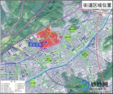 杨佩,杨佩详细介绍