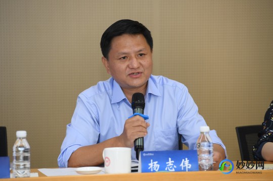 杨志伟,杨志伟详细介绍
