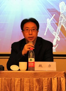 魏力,魏力详细介绍