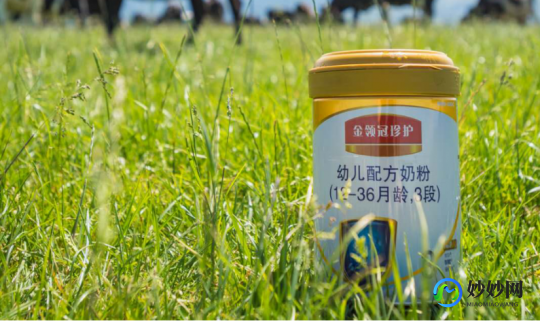 中国名牌全脂奶粉引领品质生活新风尚，健康与美味兼得