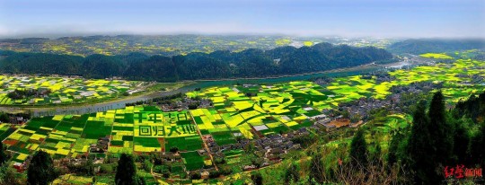 罗建国,罗建国详细介绍