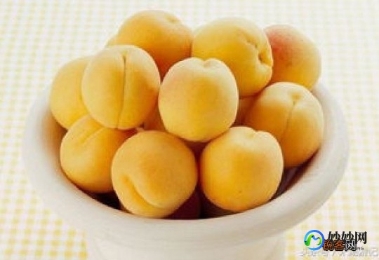 杏子的功效,杏子的作用与功效