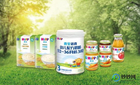 封丘县王村汪寨奶粉评测：品质与口碑兼具的营养选择