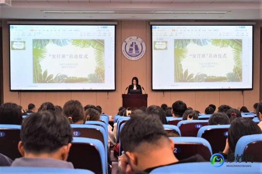 梁兵,梁兵详细介绍