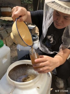奶粉喂蜂效果揭秘 蜂蜜品质能否提升引关注