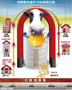 卢乳宫进口奶粉到底怎么样？消费者心声与专家评测全解析