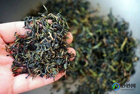 蒲公英泡水喝功效与主治,蒲公英泡水喝功效与主治