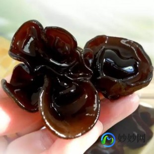木耳的功效与作用,木耳的功效与作用有什么