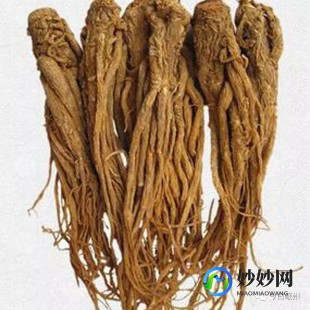 当归的作用和功效,当归的功效与作用