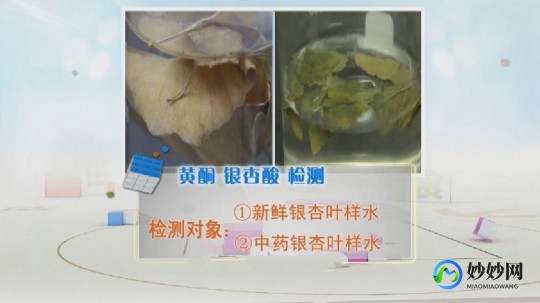 银杏叶泡水喝的功效,银杏叶泡水喝的功效