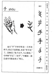 手的笔顺,手字笔顺笔画顺序详解,规范书写从掌握笔顺开始