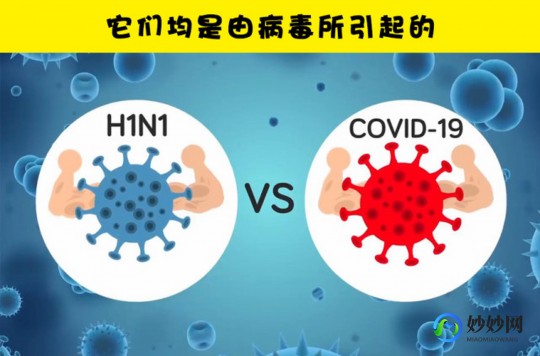 新冠甲流,甲流和新冠病毒的区别
