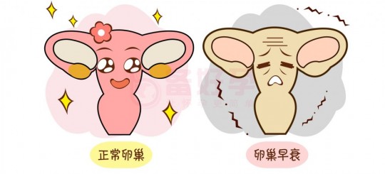 妇宝搭档,”卵巢保健”真的有效吗？
