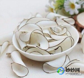 海底椰的功效与作用,海底椰的功效与作用