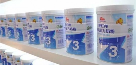 金牛牌奶粉品质如何？消费者真实反馈与测评分析