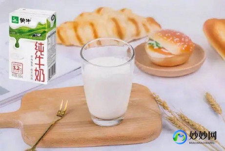 高中生早餐喝奶粉的营养价值与健康影响解析