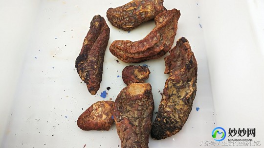 肉苁蓉功效作用与主治,肉苁蓉功效作用与主治