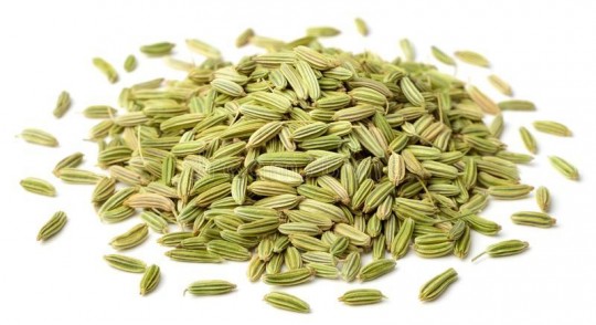 小茴香的作用,小茴香的功效与作用
