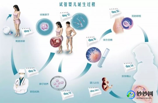 日本单身女性试管婴儿新选择 打破传统生育观念