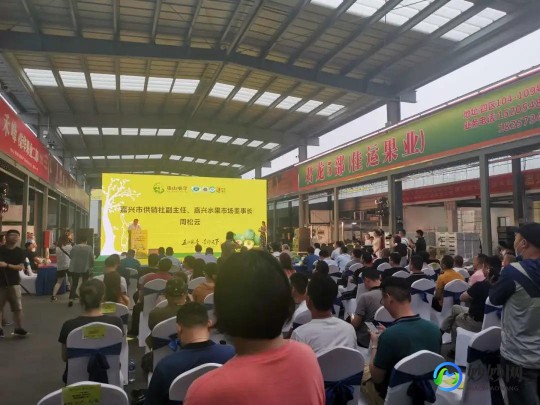 红叶李可以吃吗,红叶李子能吃吗