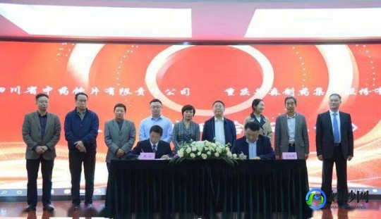 重庆雷火灸,重庆市渝中区赵氏雷火灸传统医药研究所地址电话_重庆市渝...