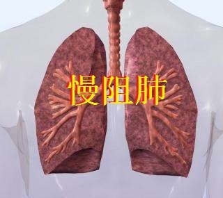 laba,LAMA、LABA代表药物有哪些