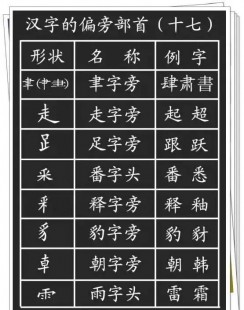 所的偏旁部首,所以中的所部首解析及组词技巧