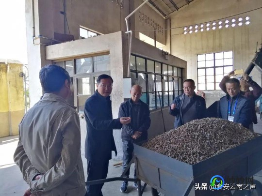瑞龙制药,郑州瑞龙(集团)制药有限公司药品大全_品牌产品