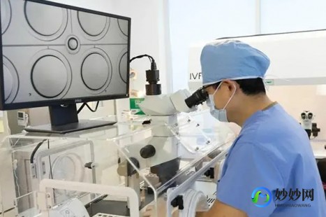东莞试管,2024年东莞试管医院排名出炉,哪家医院做试管较好？