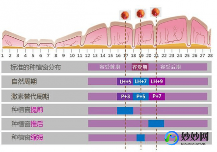 阜阳助孕三代试管公司排名靠前的有哪些!附详细费用构成!