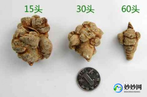三七的吃法与功效,三七粉的功效与作用及食用方法用量