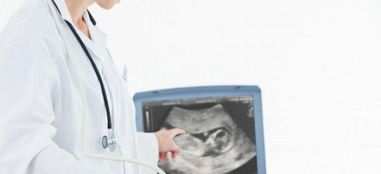 nt值怎么看男女,孕12周nt结果暗示男女怎么看？