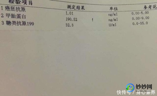 什么是甲胎蛋白,甲胎蛋白是什么