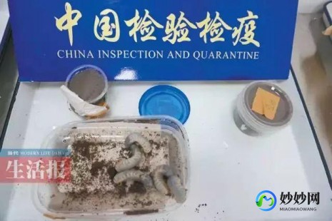 柳州试管可以报销哪部分费用？附详细费用构成!