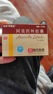 阿莫西林毒胶囊,这个联邦阿莫西阿莫西林胶囊是不是毒胶囊_内科药酒