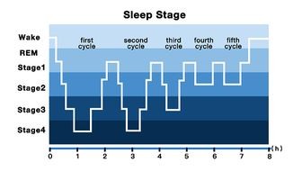 人的睡眠周期,一个睡眠周期是多久才能起来不困