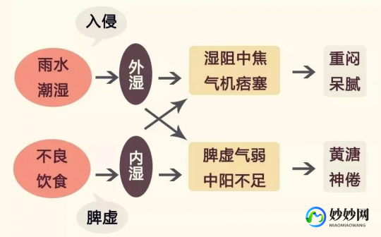 去湿气,湿气重的人怎么排湿